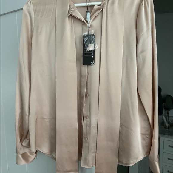 Lily Silk Tie Blouse in Blush Small - Picture 4 of 5